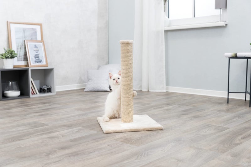 Trixie Parla Cat Scratching Post 24.4 Inch - Cat Scratcher with Soft Fabric Covering Base and Durable Sisal Rope - in Beige - Image 3